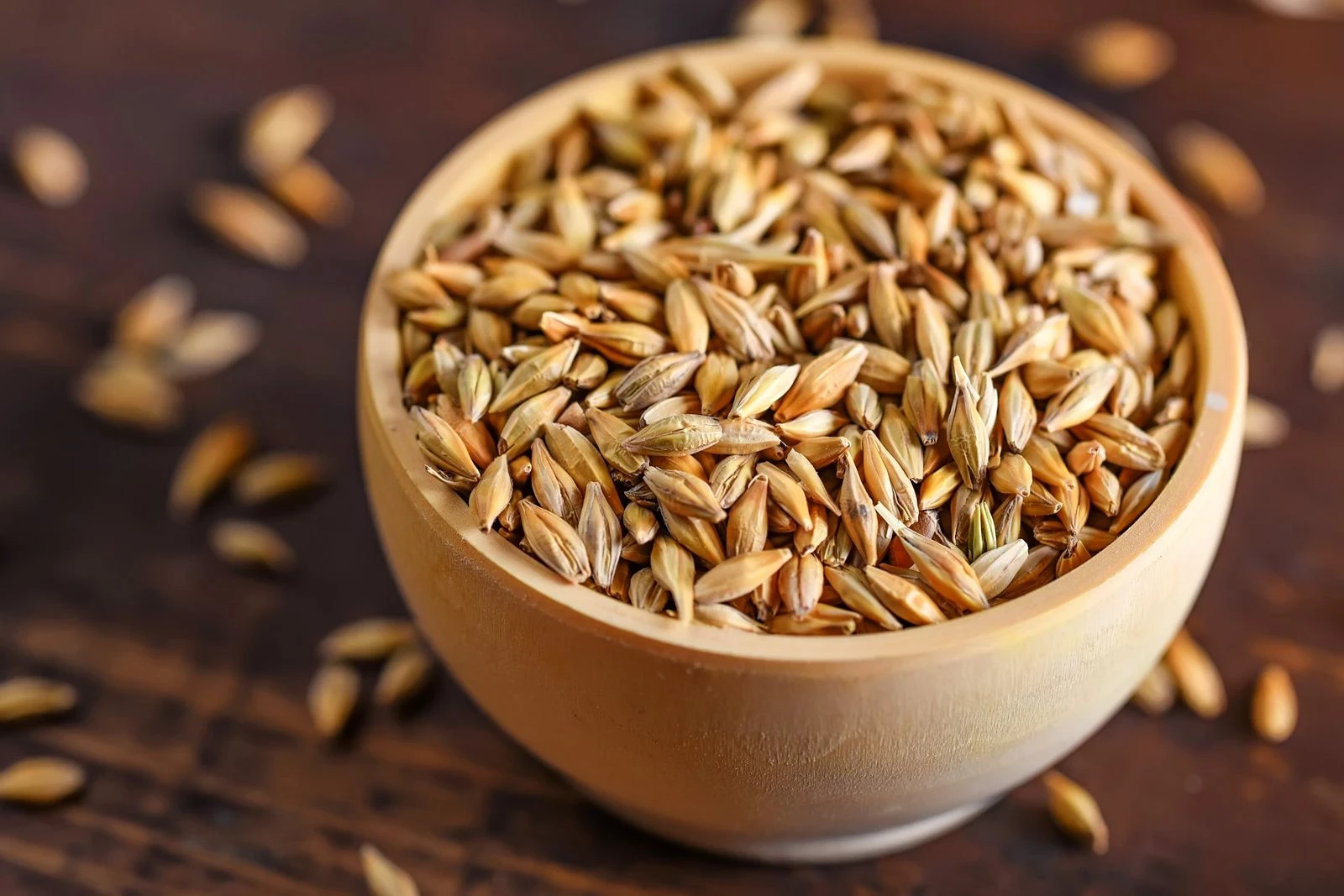 Malt utilisé pour la préparation des bières de La Brasserie du Midi